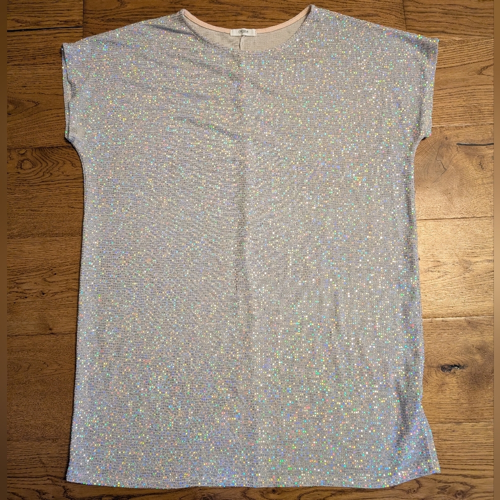 Silver Gray Sparkly Metallic Cap Sleeve Top – Shimmering Party Blouse New Years